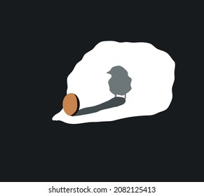 an egg with a shadow on its wall is a chicken