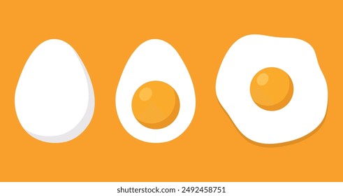 Egg is shell, fried and half. Egg vector illustration.