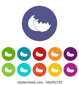 Egg shell set icons in different colors isolated on white background