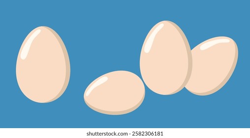 Egg in shell vector illustration. Egg in flat vector