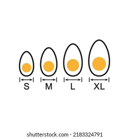 Egg sizes. Set of vector illustrations with arrows and eggs. Drawing on a white background. 