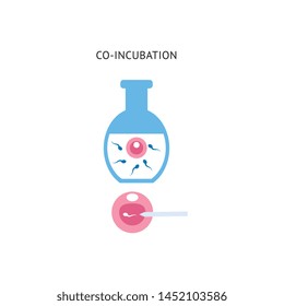 Egg and sperm in co-incubation procedure, in vitro fetrilization injection in medical laboratory, cartoon icon of female pregnancy and fertility treatment, isolated vector illustration