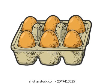 egg tray color sketch engraving vector illustration. T-shirt apparel print design. Scratch board imitation. Black and white hand drawn image.