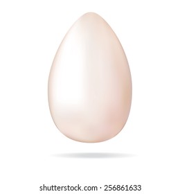 egg. vector