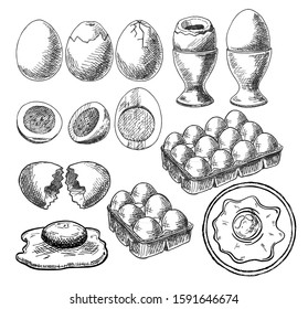 Egg vector healthy food. Eggwhite or yolk in egg-cup for breakfast sketch illustration set of eggshell or egg shaped ingredients isolated on white background. Vintage hand drawn scrambled chicken egg.