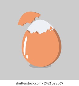 Egg vector illustration, Collection of whole, broken, fried, yolks, eggshells and boiled eggs. Whole and broken white and yellow fresh raw eggs.