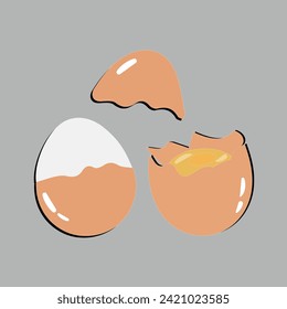 Egg vector illustration, Collection of whole, broken, fried, yolks, eggshells and boiled eggs. Whole and broken white and yellow fresh raw eggs.