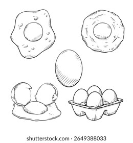 egg vector line art hand drawn illustration set collection
