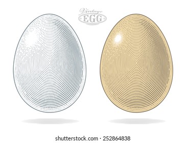 Egg in vintage engraved style.   Vector illustration, isolated, grouped, transparent background 
