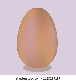 Ei. Ganzes Hühnerei. Realistische Vektorgrafik