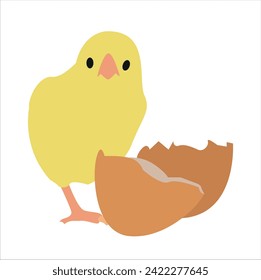 egg and yellow cute chick