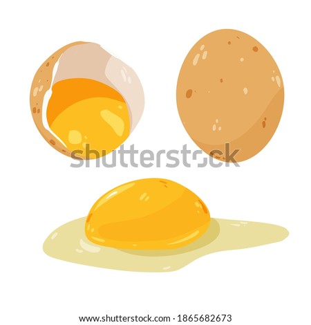 Egg yolk isolated on white vector illustration. Farm product, culinary  ingredient design element. Omega source in cartoon style.