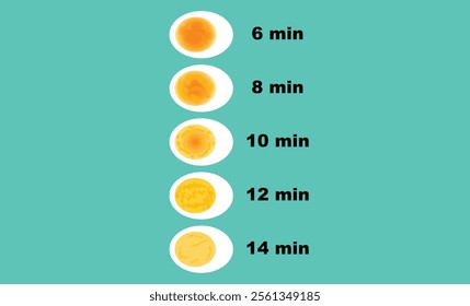 Egg yolk textures at different times