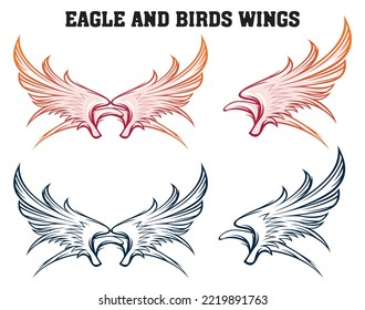 eggle and birds wings vector 