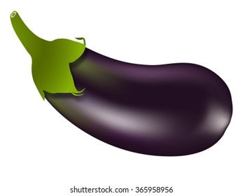 eggplant against white background, abstract vector art illustration, image contains gradient mesh