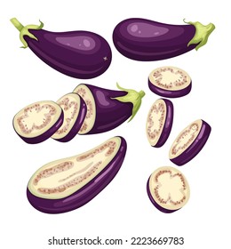 eggplant aubergine set cartoon. purple fresh, plant food, organic healthy, agriculture fruit, brinjal garden, raw, closeup violet, harvest eggplant aubergine vector illustration