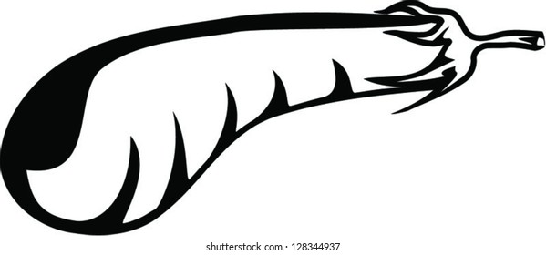Eggplant, aubergine vector graphic