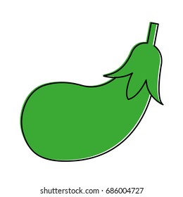 eggplant or aubergine vegetable icon image 