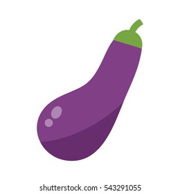 Eggplant or aubergine vegetable isolated vector illustration.