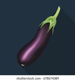 Eggplant or aubergine vegetable vector on blue background
