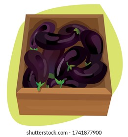 berenjena en la caja sobre fondo verde