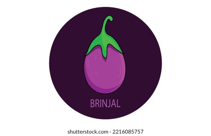 Eggplant Brinjal Auberges Vector Illustration