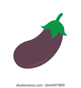 Eggplant or brinjal icon vector. Solanum melongena, also known as aubergine. High nutrition vegetable illustration.