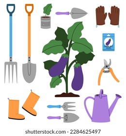 A eggplant bush surrounded by essential gardening tools to help grow eggplants: shovel, seeds, watering can, gloves, rake, seedlings, pruner and other.