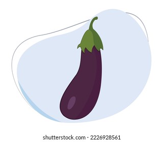eggplant cartoon vector for education about healthy fruits and vegetables. Flat design vector