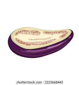 eggplant cut cartoon. purple fresh, plant food, organic healthy, agriculture brinjal garden, raw closeup, violet harvest eggplant cut vector illustration