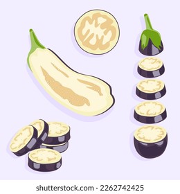 Eggplant cut in half and slices. Vector image. Vegetables with seeds. Useful vegetables. Diet food. Natural product.