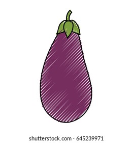 Eggplant delicious vegetable