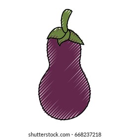 Eggplant delicious vegetable
