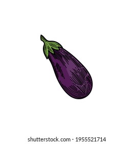 plantilla vectorial del logotipo de diseño de eggplant