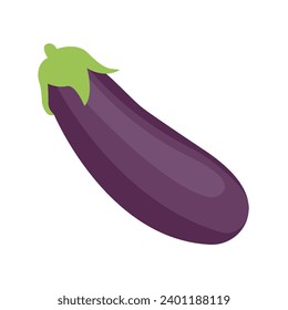 Eggplant drawing aubergine purple vector