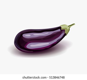 Eggplant. Drawing Aubergine. Purple vegetable. Realistic vector image. Eggplant isolated on white background.