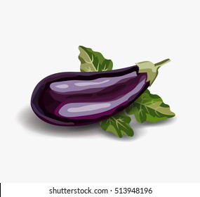 Eggplant. Drawing Aubergine. Purple vegetable and Green leaves. Realistic vector image. Eggplant isolated on white background.
