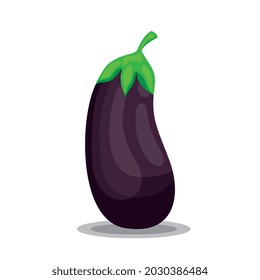 dibujo de berenjenas aislado sobre fondo blanco. ilustración vectorial
