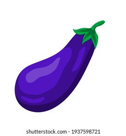 eggplant drawing on white background, vector illustration