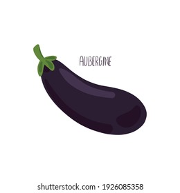 Eggplant flat illustration, eco vegetable hand-drawn. 
