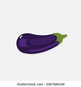 Eggplant flat vector