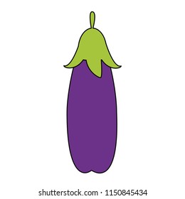 Eggplant fresh vegetable