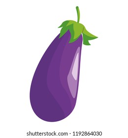 Eggplant fresh vegetable