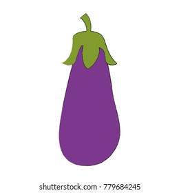 Eggplant fresh vegetable