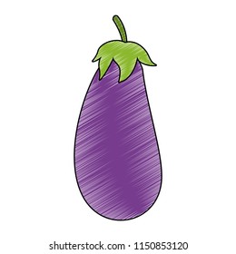 Eggplant fresh vegetable scribble