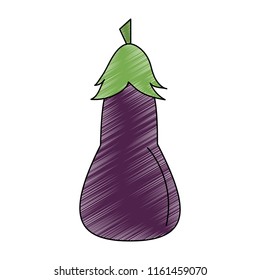 Eggplant fresh vegetable scribble