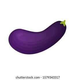 Eggplant fresh vegetable vector concept. Healthy diet flat style illustration. Isolated green food, can be used in restaurant menu, cooking books and organic farm label