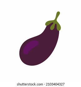 Eggplant fruit in a flat style on a white background. Vector illustration