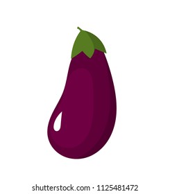 Eggplant fruit icon. Vector illustration