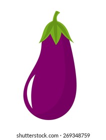 Eggplant Fruit. Vector Illustration